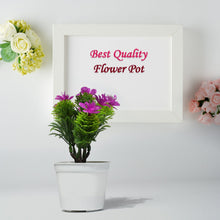 Multiuse flower pot with natural appearance.